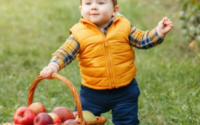 Farm Fall Fun: Apples, Pumpkins and More